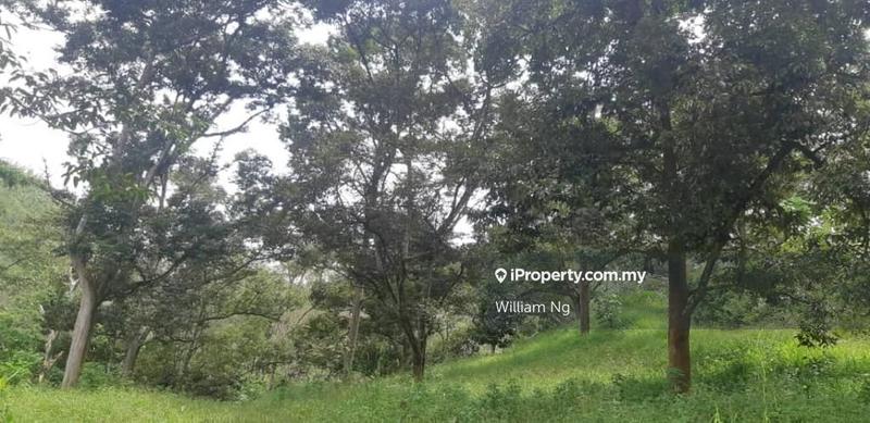 Tanah Pertanian untuk Dijual di Taman Jelebu, Kuala Klawang oleh William Ng - iProperty.com.my