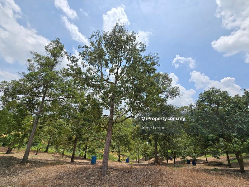 Agricultural Land for Sale in Karak, Pahang by Irene Leong - iProperty.com.my