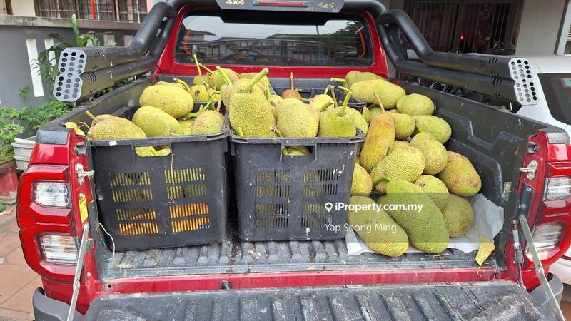 Tanah Pertanian untuk Dijual di Kenaboi, Kenaboi oleh Yap Seong Ming - iProperty.com.my