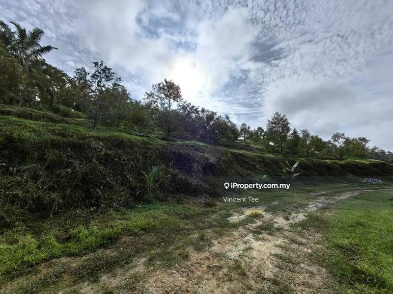 Agricultural Land for Sale in Kampung Sega, Sega by Vincent Tee - iProperty.com.my