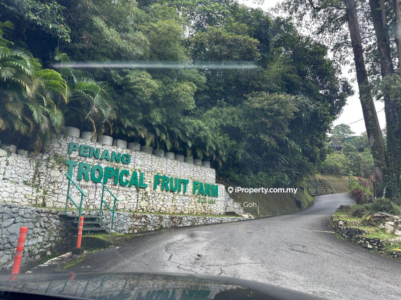 Tanah Pertanian untuk Dijual di Teluk Bahang, Penang oleh Rick Goh - iProperty.com.my
