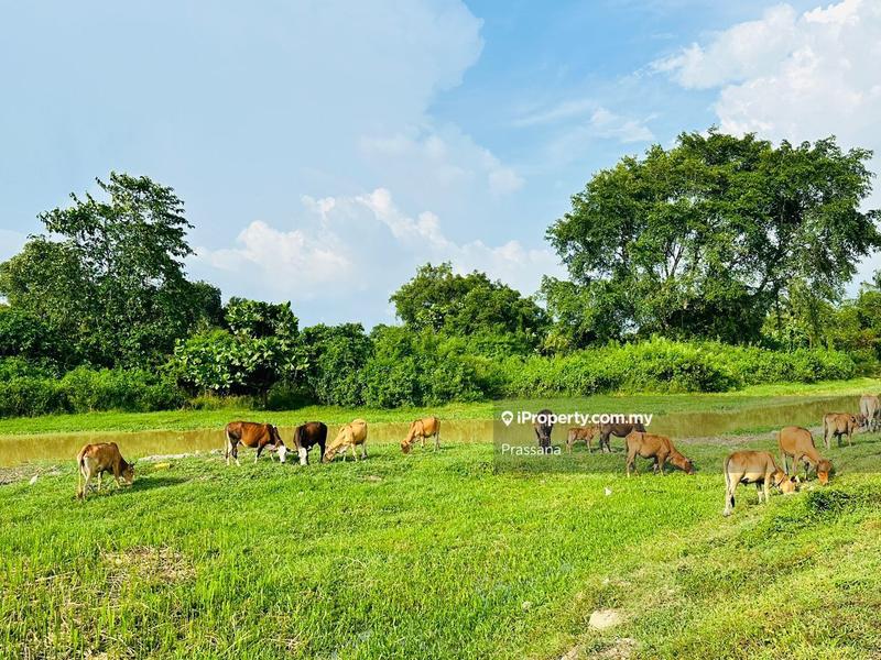 Agricultural Land for Sale in Ayer Itam, Penang by Prassana - iProperty.com.my