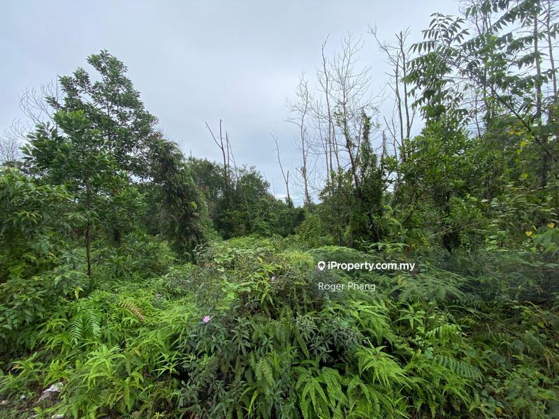 Industrial Land for Sale in Kuantan, Pahang by Roger Phang - iProperty.com.my