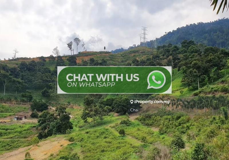 Agricultural Land for Sale in Sabai, Karak by Chai - iProperty.com.my