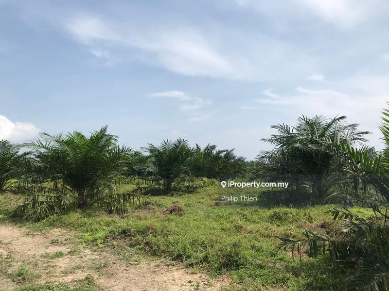 Agricultural Land for Sale in Kuala Selangor, Selangor by Philip Thien - iProperty.com.my