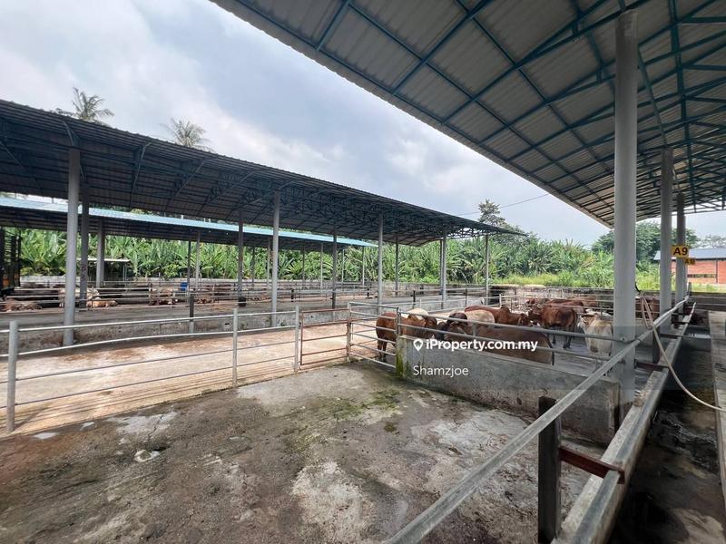 Tanah Pertanian untuk Dijual di Bangi, Bangi oleh Shamzjoe - iProperty.com.my