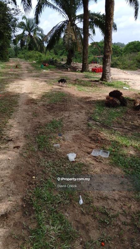 Tanah Pertanian untuk Dijual di Port Dickson, Negeri Sembilan oleh David Cheok - iProperty.com.my