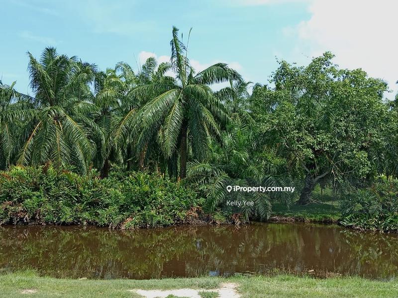 Tanah Pertanian untuk Dijual di Nibong Tebal, Penang oleh Kelly Yee - iProperty.com.my