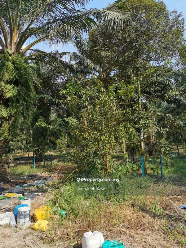 Tanah Pertanian untuk Dijual di Kulim, Kedah oleh JeehJeeh Kaw - iProperty.com.my