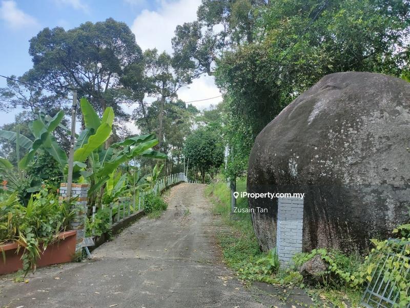 Agricultural Land for Sale in Pulau Betong, Balik Pulau by Zusain Tan - iProperty.com.my