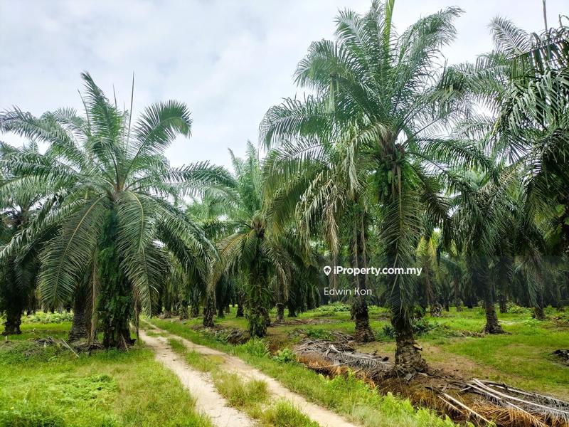 Agricultural Land for Sale in Seri Manjung, Perak by Edwin Kon - iProperty.com.my