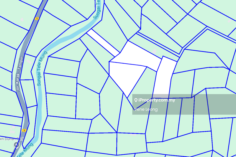 Agricultural Land for Sale in Karak, Pahang by Irene Leong - iProperty.com.my