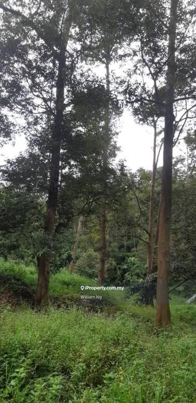 Tanah Pertanian untuk Dijual di Taman Jelebu, Kuala Klawang oleh William Ng - iProperty.com.my