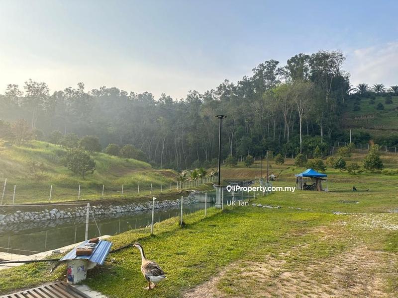 For Rent - Agriculture Land 6 Acres @ Serendah Rawang