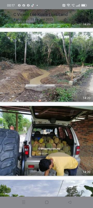 Agricultural Land for Sale in Bandar Lipis, Kuala Lipis by Alicia Lee - iProperty.com.my