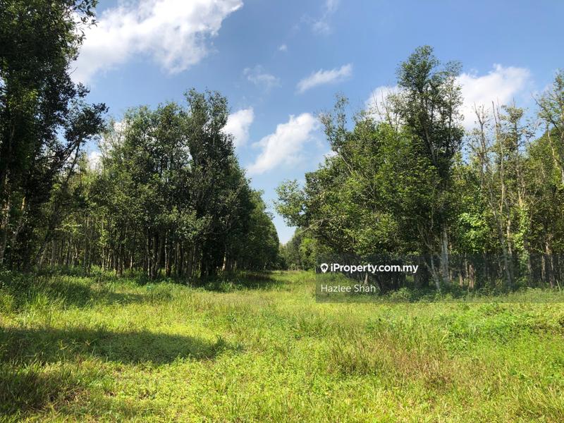 For Sale - Bandar Penawar