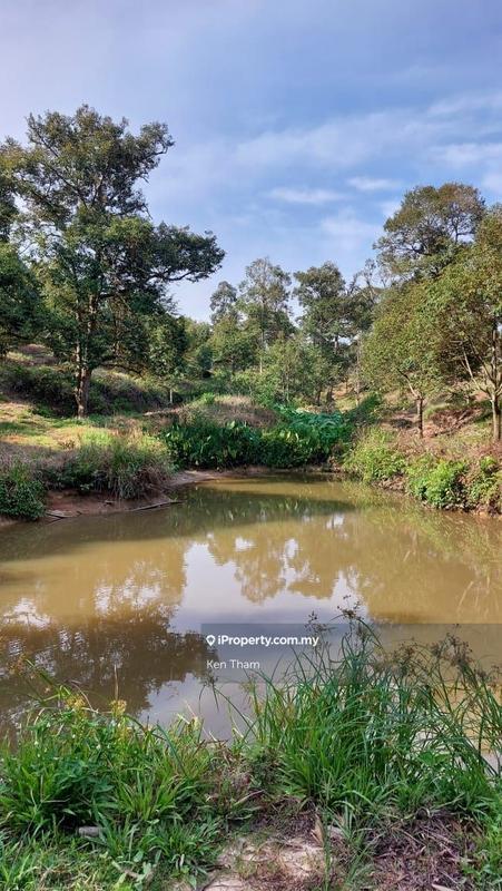 Agricultural Land for Sale in Taman Jelebu, Kuala Klawang by Ken Tham - iProperty.com.my