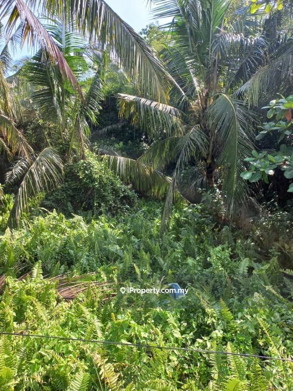 Commercial Land for Sale in KUALA SELANGOR, Kuala Selangor by Abdul Shukor - iProperty.com.my