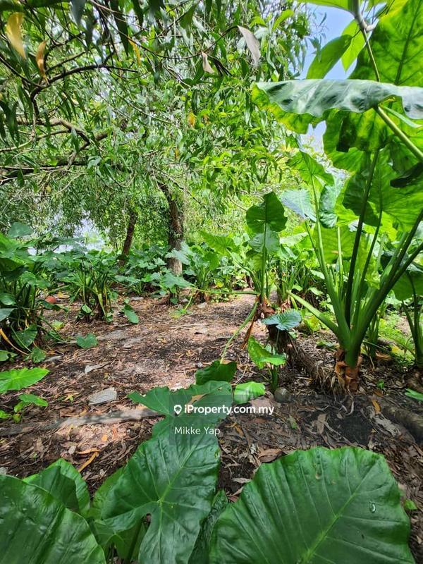 Industrial Land for Sale in Pusat Bandar Puchong, Puchong by Mikke Yap - iProperty.com.my