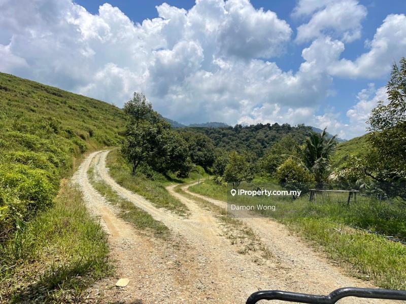 Tanah Pertanian untuk Dijual di Karak, Bentong oleh Damon Wong - iProperty.com.my