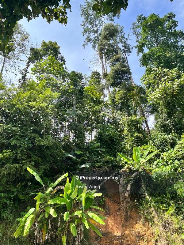 Bungalow Land for Sale in Bukit Tinggi, Bentong by Jason Wong - iProperty.com.my
