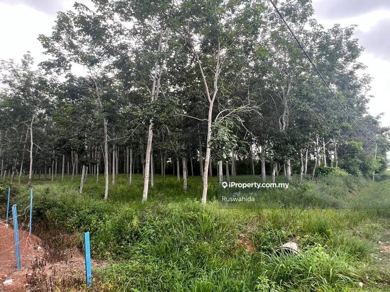 Agricultural Land for Sale in Asun, Jitra by Ruswahida - iProperty.com.my