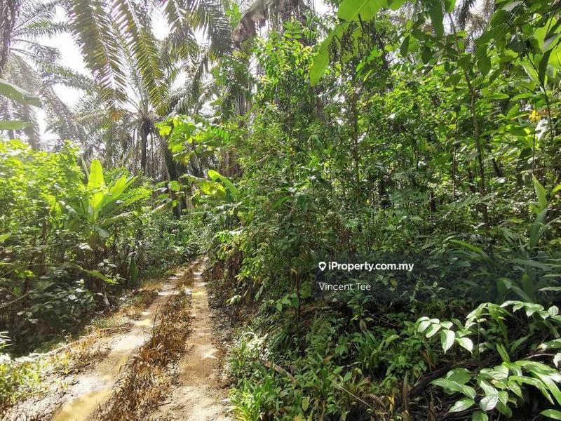 Tanah Kediaman untuk Dijual di Bidor, Perak oleh Vincent Tee - iProperty.com.my