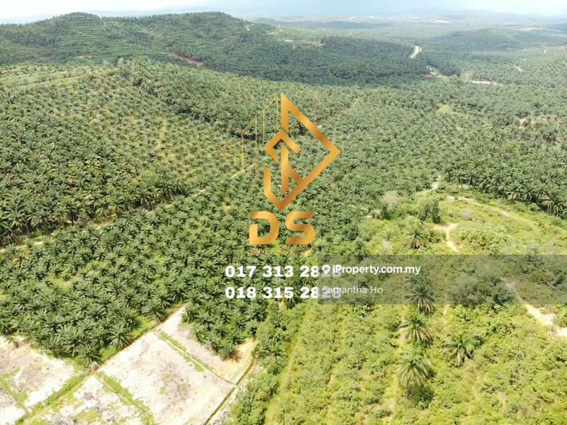 Agricultural Land for Sale in Parit Puntar, Perak by Samantha Ho - iProperty.com.my