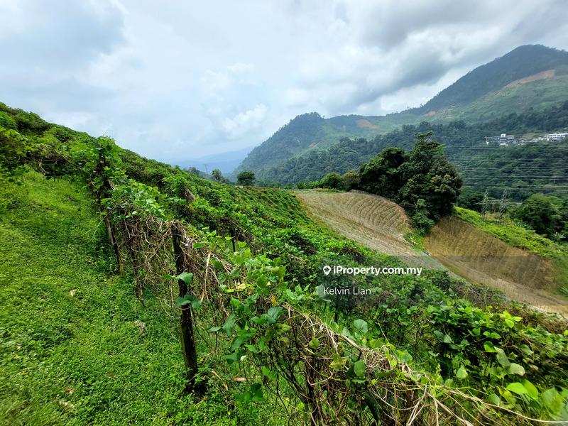 Agricultural Land for Sale in Genting Highlands, Bentong by Kelvin Lian - iProperty.com.my