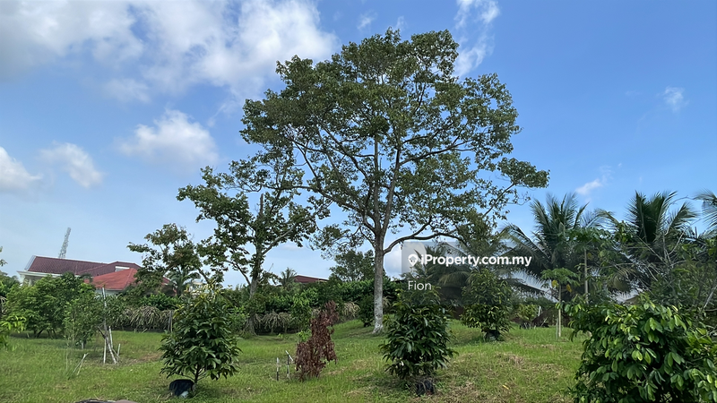 Banglo untuk Dijual di Bandar Tiram, Ulu Tiram oleh Fion - iProperty.com.my