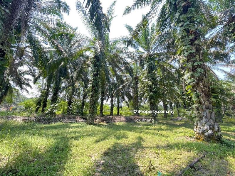 For Rent - Tapah 3.5 acres Main Road Land