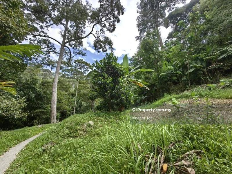 Agricultural Land for Sale in Sungai Nibong, Bayan Lepas by Vincent Tee - iProperty.com.my