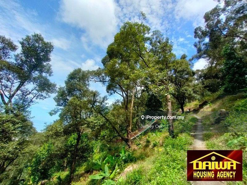 Tanah Pertanian untuk Dijual di Teluk Kumbar, Teluk Kumbar oleh Jeffrey Ooi - iProperty.com.my