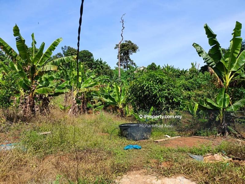 Agricultural Land for Sale in Balok, Sungai Karang by Mohammad Azizi - iProperty.com.my