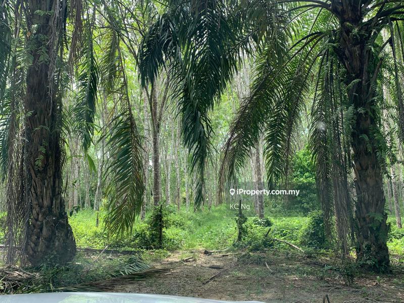 Agricultural Land for Sale in Kerunai, Gerik by KC Ng - iProperty.com.my