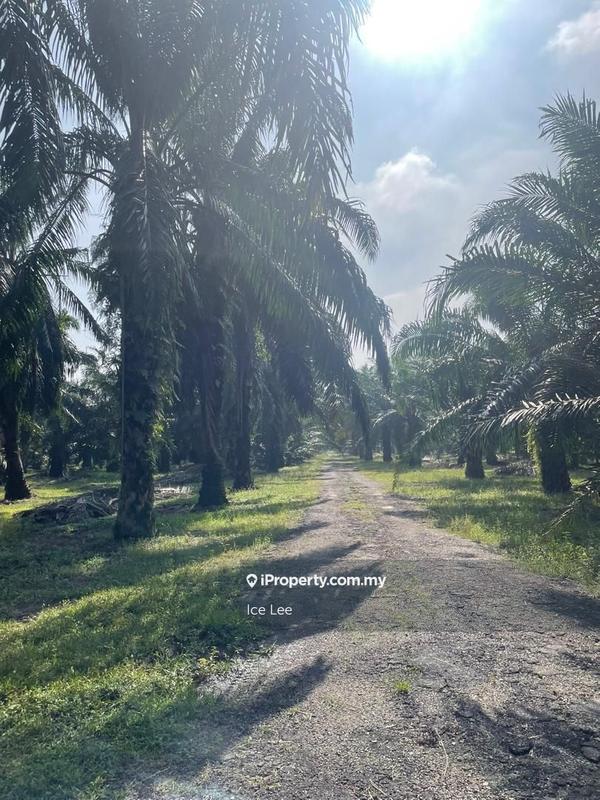 Agricultural Land for Sale in Kampung Teluk Panglima Garang, Telok Panglima Garang by Ice Lee - iProperty.com.my