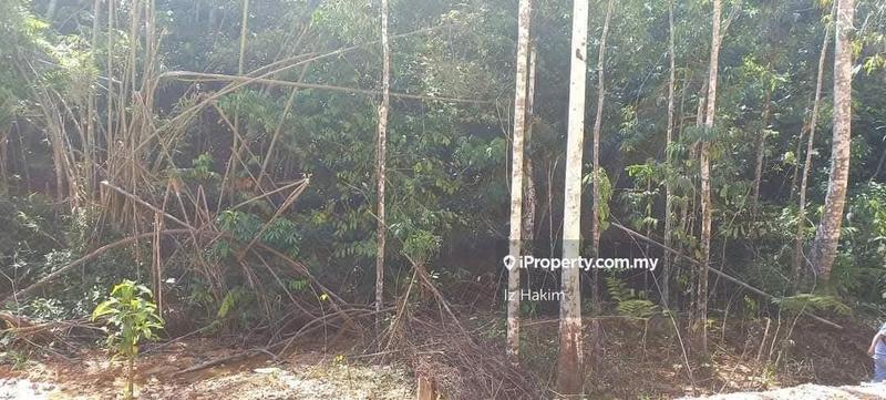 Agricultural Land for Sale in Rasa, Selangor by Iz Hakim - iProperty.com.my