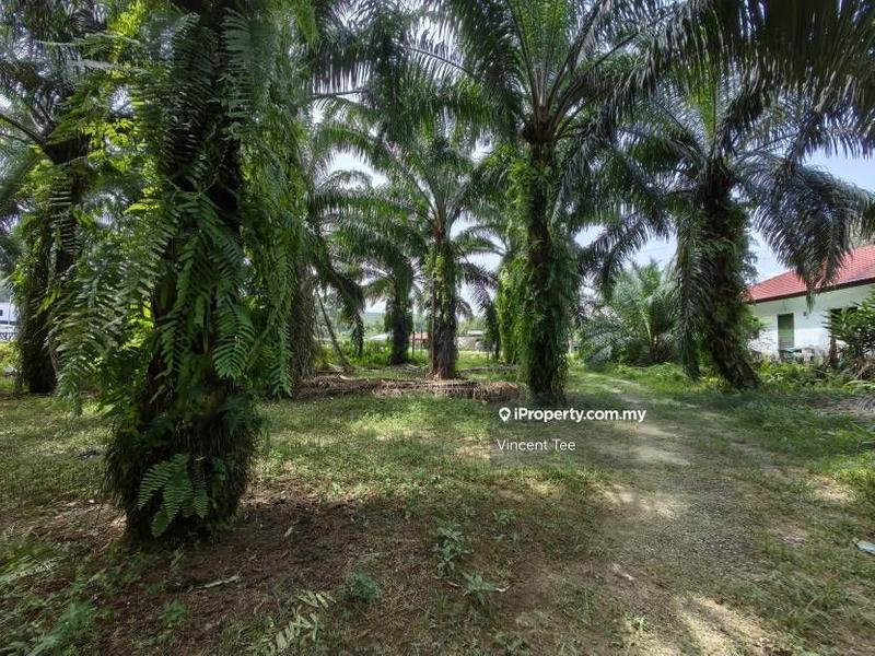Agricultural Land for Sale in Kampung Jenderam Hulu, Dengkil by Vincent Tee - iProperty.com.my
