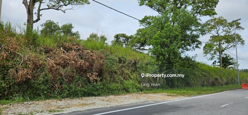 Agricultural Land for Sale in Bukit Banang, Batu Pahat by Ling Yean - iProperty.com.my