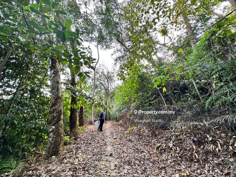 Tanah Pertanian untuk Dijual di Balik Pulau, Penang oleh Visaghan Naidu - iProperty.com.my