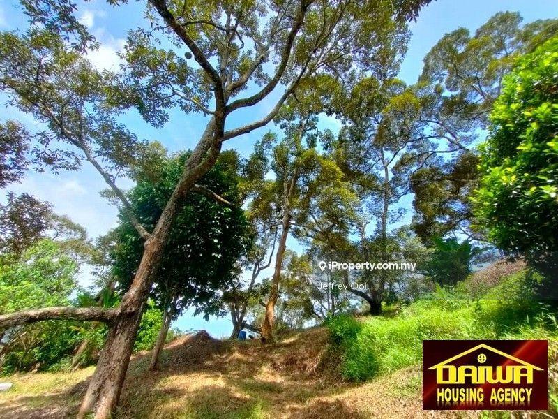 Tanah Pertanian untuk Dijual di Teluk Kumbar, Teluk Kumbar oleh Jeffrey Ooi - iProperty.com.my