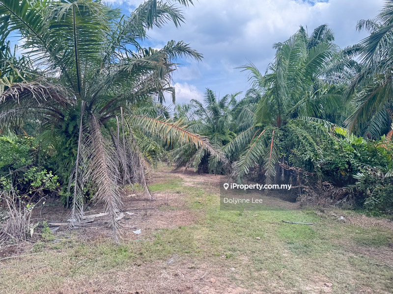 Tanah Pertanian untuk Dijual di UPS Industrial Park, Pulau Carey (Carey Island) oleh Dolynne Lee - iProperty.com.my