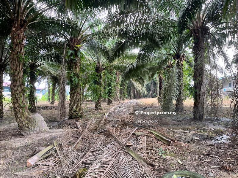 Tanah Pertanian untuk Dijual di Taman Murni, Kluang oleh Jason Wong - iProperty.com.my