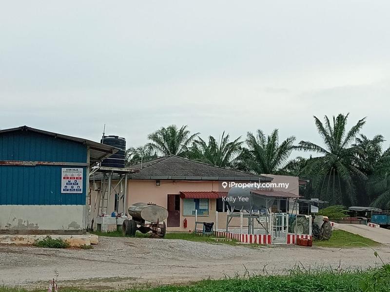 Tanah Pertanian untuk Dijual di Palm Oil Plantation @ Teluk Intan for Sale, Teluk Intan oleh Kelly Yee - iProperty.com.my