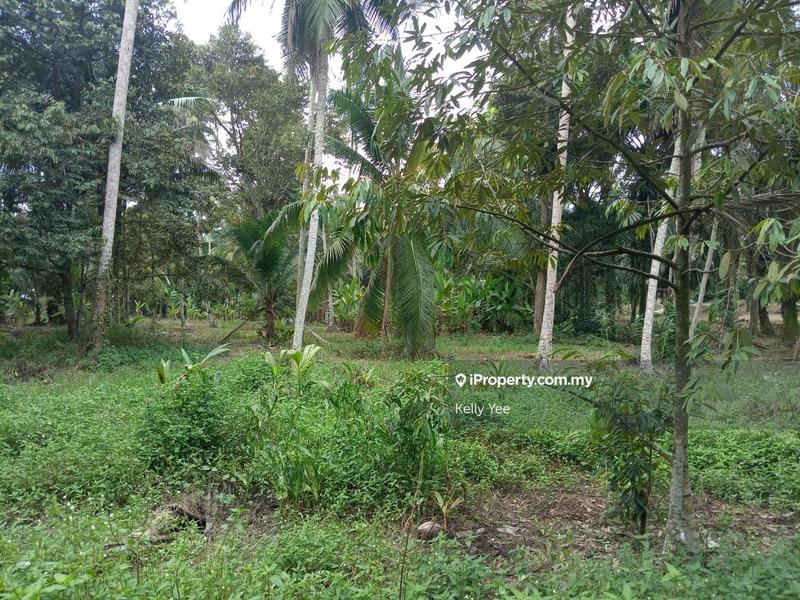 For Sale - Agriculture Land @ Sungai Lembu for Sale