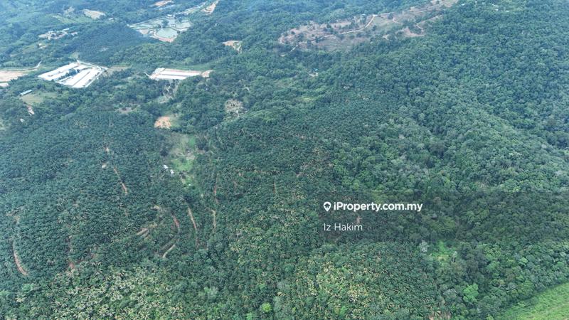 Agricultural Land for Sale in Kuala Kubu Baru, Selangor by Iz Hakim - iProperty.com.my