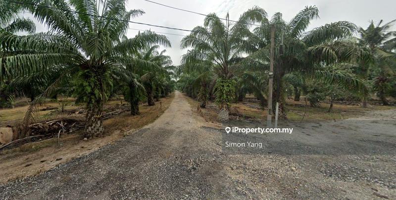 Tanah Pertanian untuk Dijual di Ladang Bukit Kerayong, Kapar oleh Simon Yang - iProperty.com.my