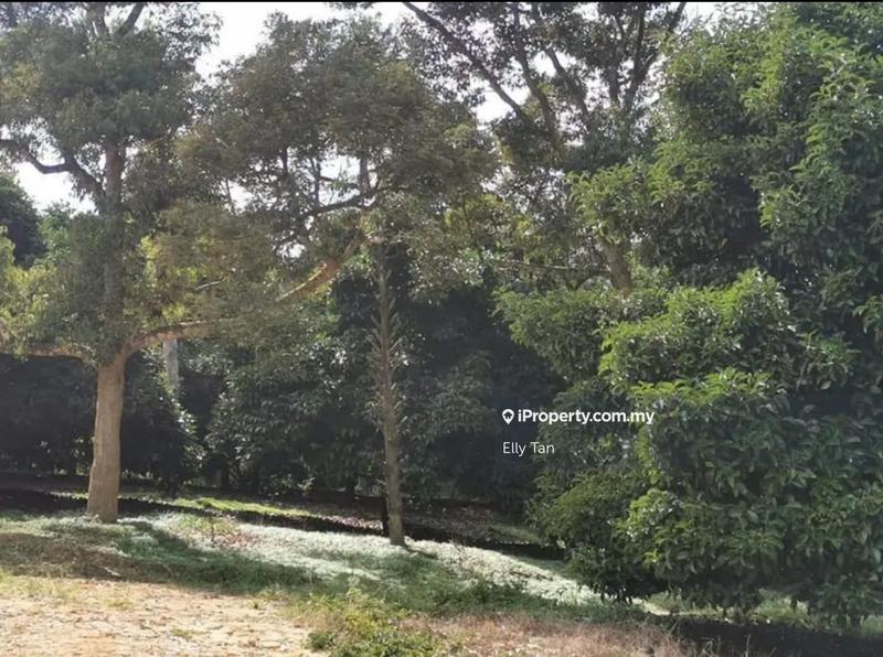 Tanah Pertanian untuk Dijual di Telemong, Karak, Bentong, Raub, Manchis, Bentong oleh Elly Tan - iProperty.com.my
