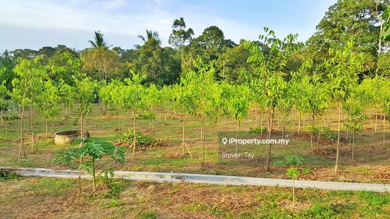 Tanah Pertanian untuk Dijual di Broga, Lenggeng oleh Steven Tay - iProperty.com.my