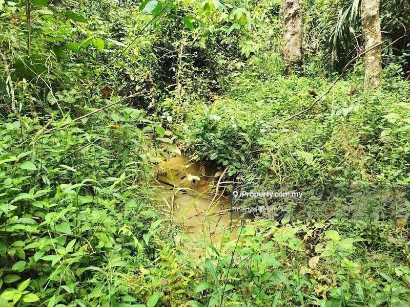 Agricultural Land for Sale in Sungai Dua, Sabai by Sherlyn Yeoh - iProperty.com.my